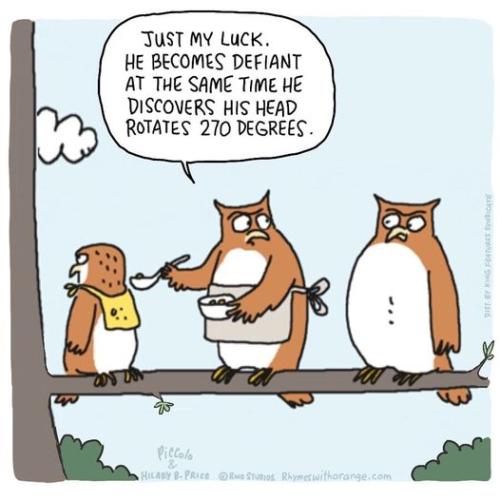 280667107_375037561331336_460037424639929308_n