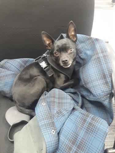 13:23:27 GMT-0400 (EDT)