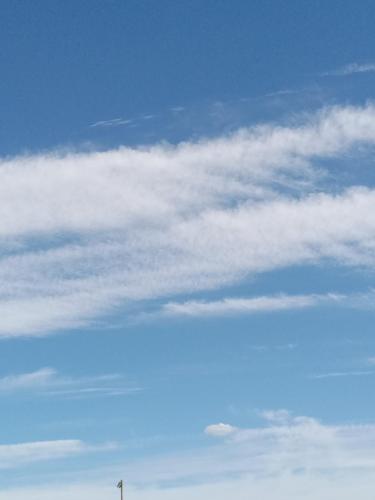 ee0933e0-303f-4e08-bb47-7a15de79bca8