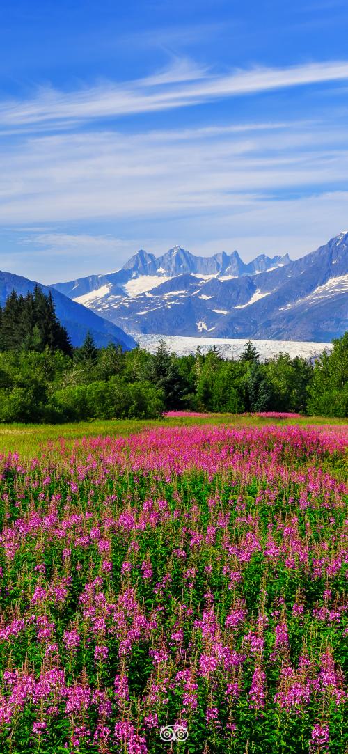 000001177713045_Tripadvisor_Alaska Juneau Wallpaper