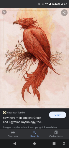 Screenshot_20220430-044545