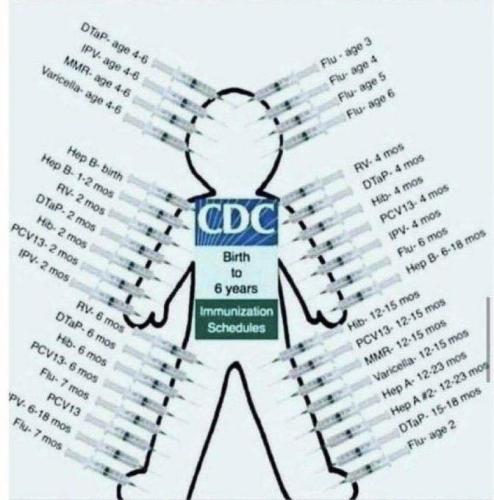 e97e2c54-cbf4-43fd-9913-976de1ac58e3