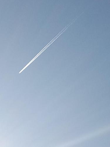 e5e52255-11c7-4bd4-926e-3f7a98e951ca