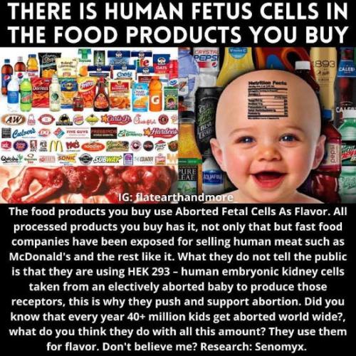 fetal cell00