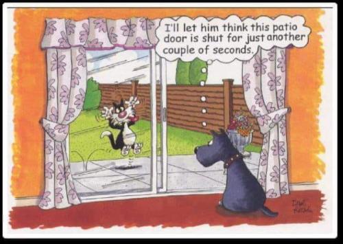 279872728_370666865101739_3044349170029712712_n