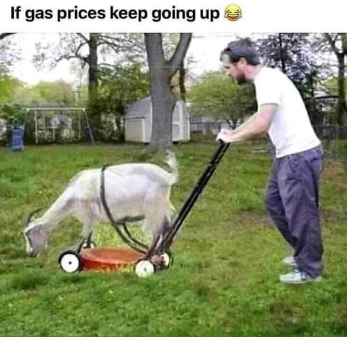 283845476_4915889435190700_8100724392063682709_n