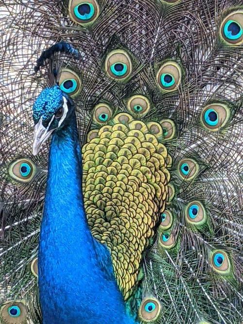 a5c27d81-8eed-422d-9575-f8373f71b28b