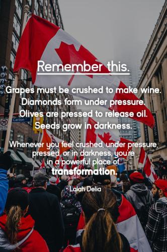 BB8B40B7-520F-4D9C-8791-2D61B63D7E2E-14648-00001ABB02BF746C