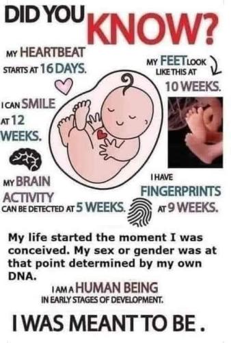 5250a14d-3bf8-4ea9-b585-dafe4a2f70a9