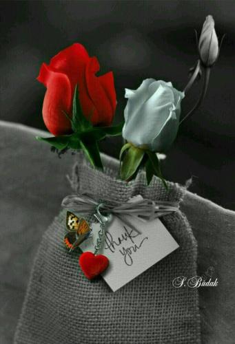 d38defe1-93b4-454e-98c4-33cbd8631005