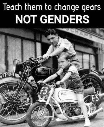 genders gears2