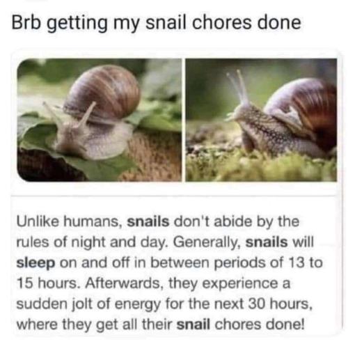 81d51941-9c54-403a-bc34-4956c451db7a