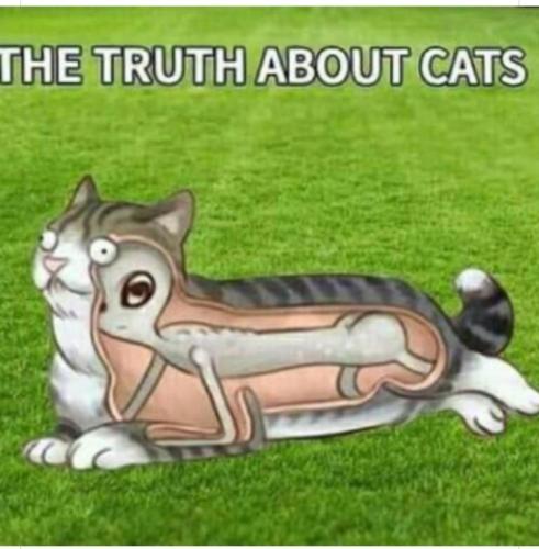 ac24423c-b80f-4641-91a6-492b2458aa4d