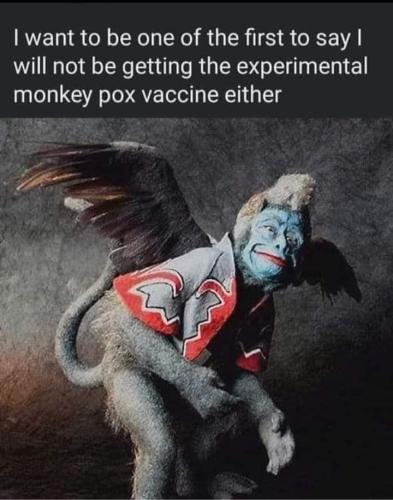 monkey pox