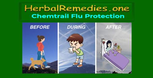 Herbalremedies.one - Chemtrail Flu