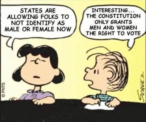 ONLY MEN AND WOMEN CAN VOTE