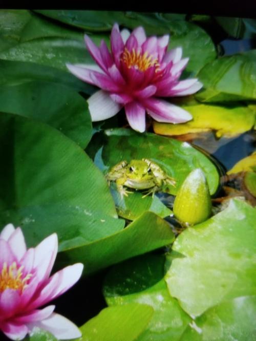 6f3da5f3-8ff6-4967-9679-a8490ebbe121