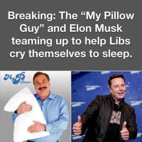 ElonMyPillowTherapy