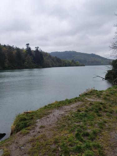 19c9f9f1-86ac-4239-9362-d8d558be9c36