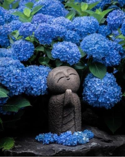 283011320_3257178251195557_9080726190700114933_n