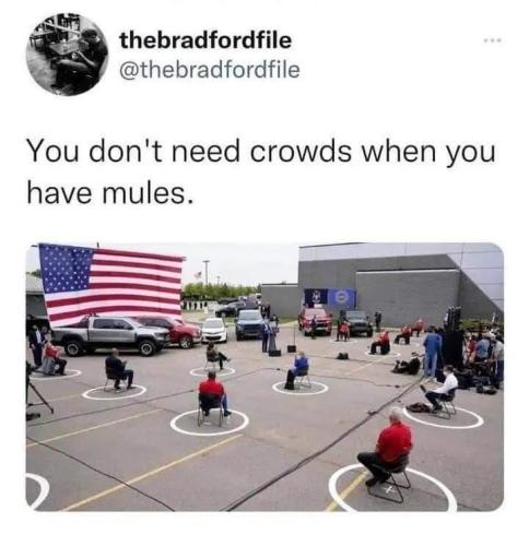 Mules 1