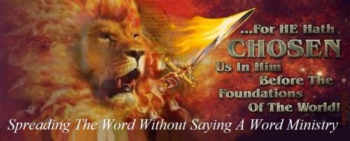 244232060_1203426580146380_526009890640094327_n