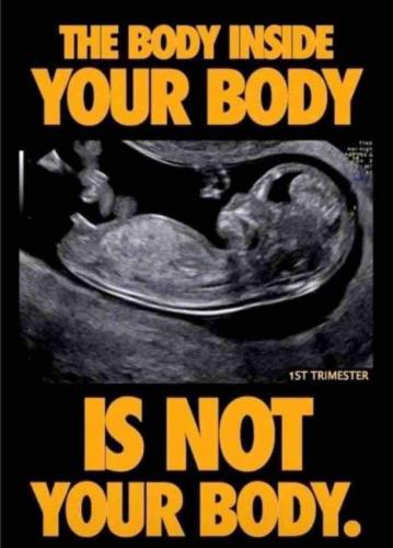 EB22DD10-A385-4EF0-A3E9-49B2ED76F0CB