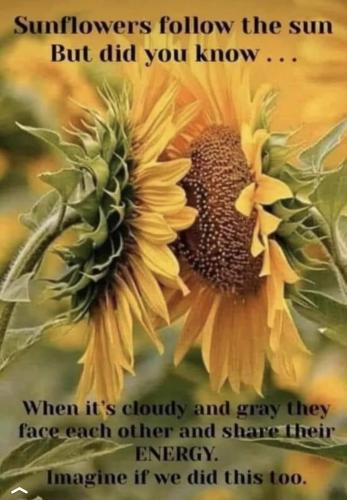 09:45:57 GMT+1200 (NZST).image