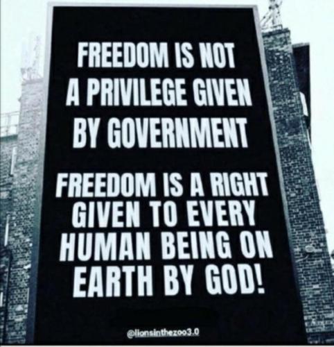 97c80fef-86e8-48c3-ad4c-7571e84fa7c7