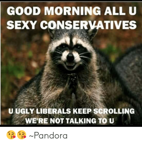 good-morning-all-u-sexy-conservatives-u-ugly-liberals-keep-43647165