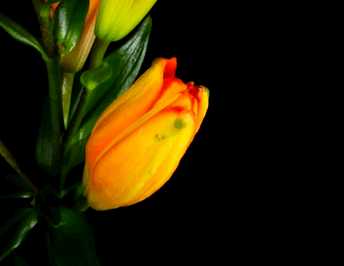 20:06:04 GMT-0500 (CDT)