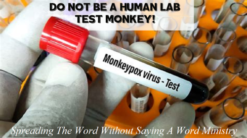 281833931_1203713960454766_1685015343479003949_n