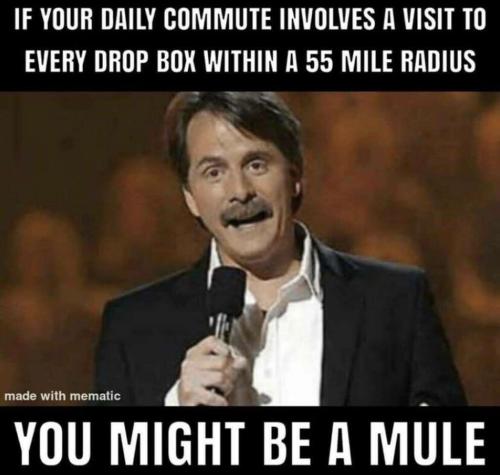 51b1f73e-1aa8-42b3-ba68-208b0629adeb