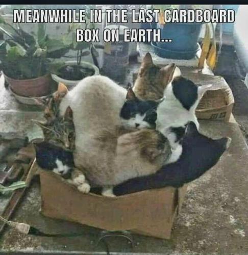 7ae66004-baf7-4abf-8787-8ed3e6e3fb4c