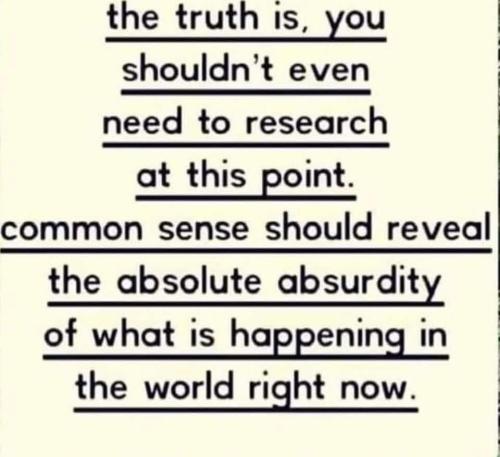 279417572_310205334626210_4253601140337805239_n
