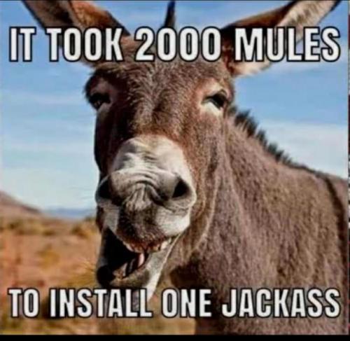 6026d230-2dcc-44b1-9803-0699f49b9504