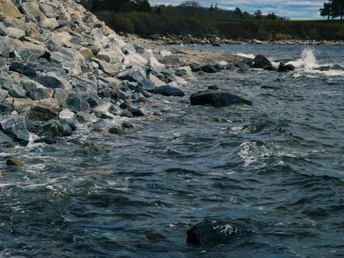 c7308de5-3413-4239-9313-ba9589fe06f8