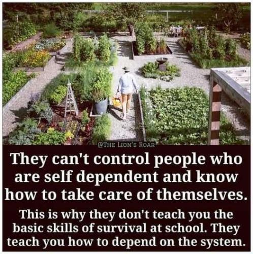 0104a340-aeb3-4bfb-a5d4-cd6848e08ba3