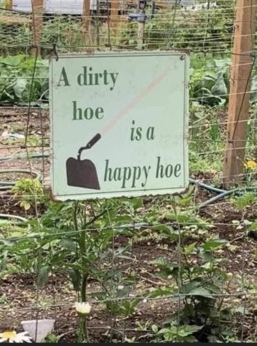 Screenshot_20220311-200031_theCHIVE