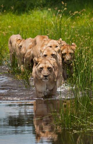 12990965_10204517673462018_8203776559340567511_n