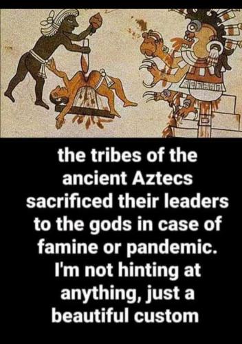 6f893737-7206-45f5-aef4-c0c990e2708f