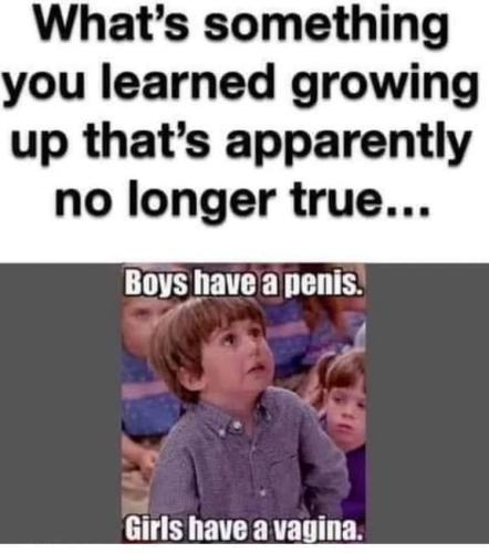 1C4E32C7-658E-4CFE-829A-A577FA6FE6C2