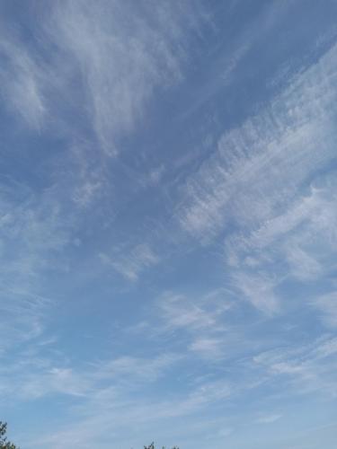 0acc5299-e78c-4e2d-b444-addde3559f3e