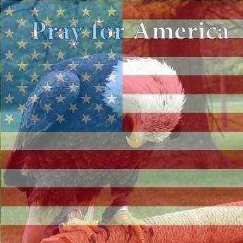 abd7f432-d53f-46b9-a1a7-901f6582e7ef