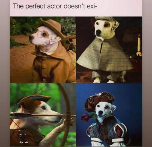 Come On, MEMES! (38)