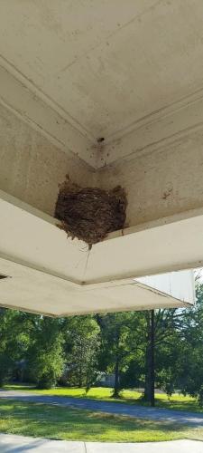 23:12:14 GMT-0400 (EDT).image