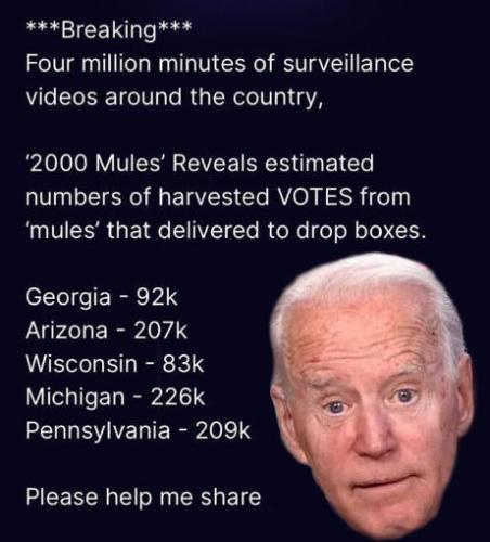 2000 mules13