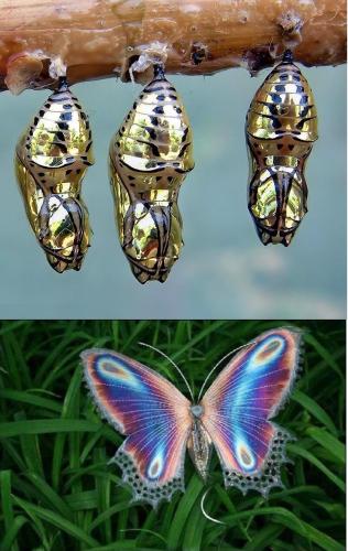 292b6d17-01c1-47a3-b2b9-a3c4d9d0d63e