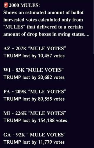 photo_2022-05-09_18-38-55