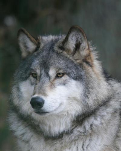 ebb364ecfe6fa7e0ab8b94b1ac1856ce